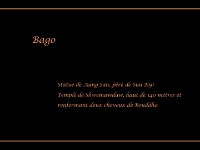 Bago-15b